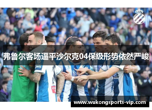 弗鲁尔客场逼平沙尔克04保级形势依然严峻