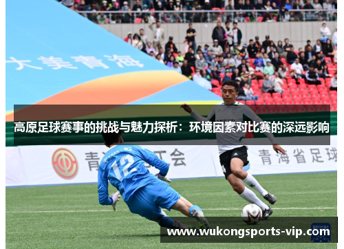 高原足球赛事的挑战与魅力探析：环境因素对比赛的深远影响