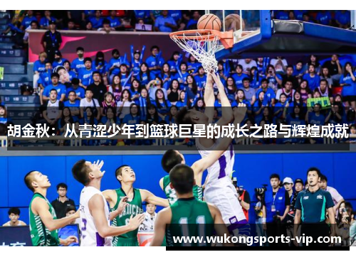 胡金秋：从青涩少年到篮球巨星的成长之路与辉煌成就